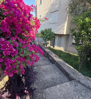 Elbasan Apartment | palmera apartament