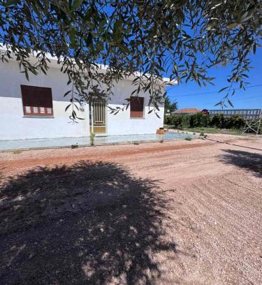 Pineios House | PANKO Suite