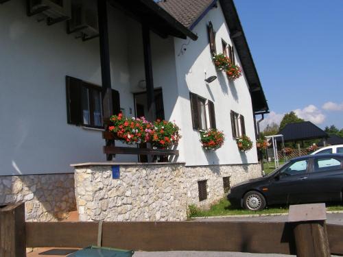 Seliste House | Pansion Danica