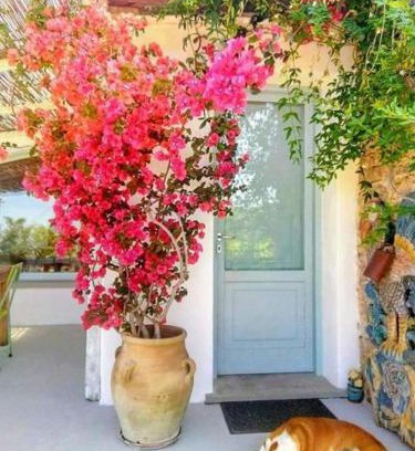 Frascinelle House | Paradiso verde a poca distanza dal mare