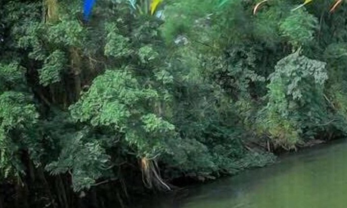 Klat Luang Hotel | Parichart Homestay