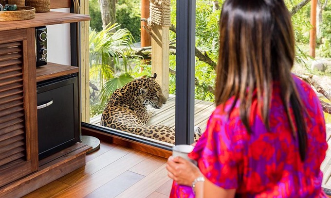 Crecy-la-Chapelle Cabin | Parrot World - Les Lodges