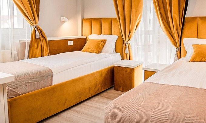 Timisoara House | PENSIUNEA ELISEI