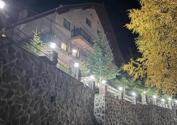 Paltinis House | Pensiunea Joe Paltinis