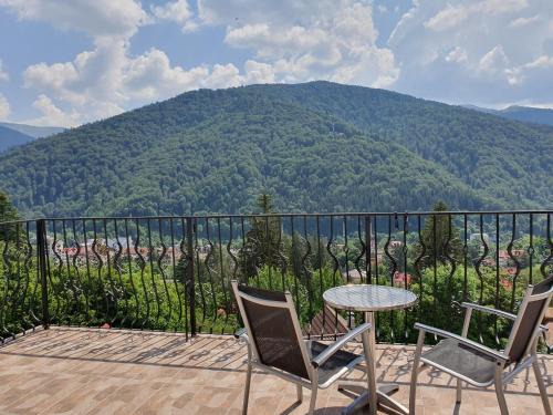 Sinaia House | Pensiunea TV Condor