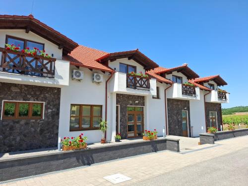 Streda nad Bodrogom House | Penzión Vínny Dom