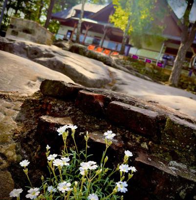 Sloup v Cechach House | Penzion Na Stráži