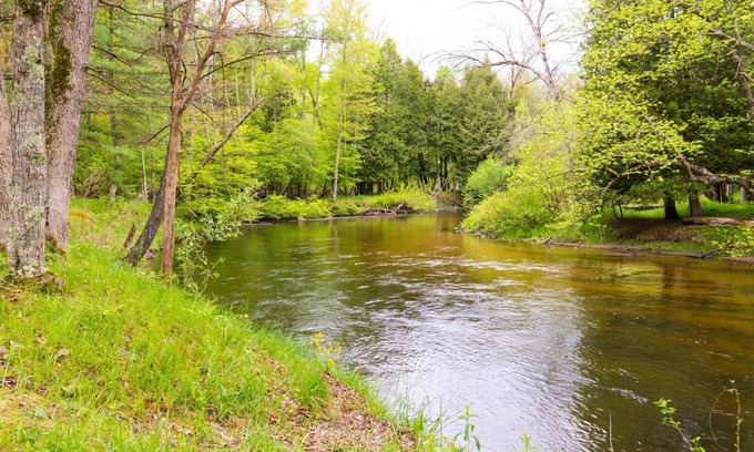 Branch Cabin | Pere Marquette River Fishing Cabin 1