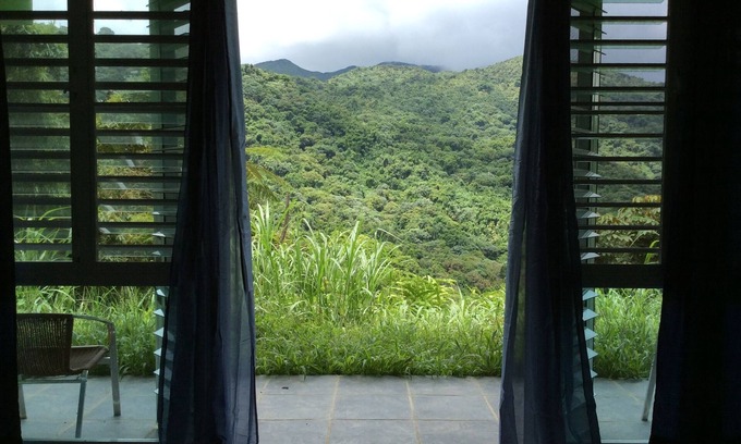 Naguabo Cabin | Perfect for large groups - House & Triplex w/private river access