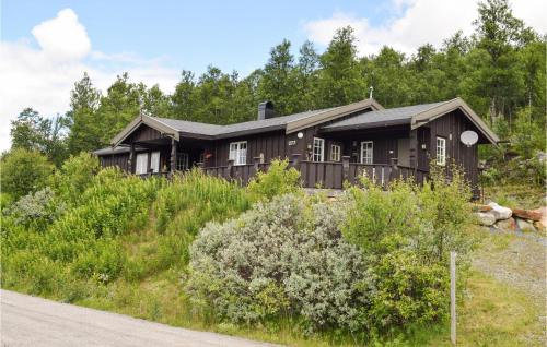 Nore og Uvdal House | Pet Friendly Home In Uvdal With Wifi