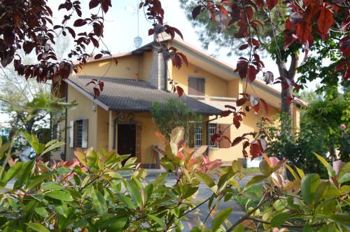 Bastia House | Pidkova