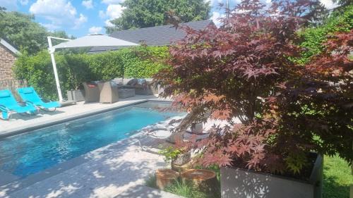Sart-lez-Spa Apartment | PINE COTTAGE- 5 minutes Francorchamps - charme -piscine-calme-jardin