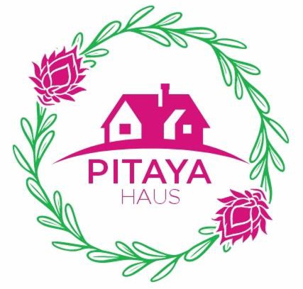 Rio Branco House | Pitaya Haus Lofts