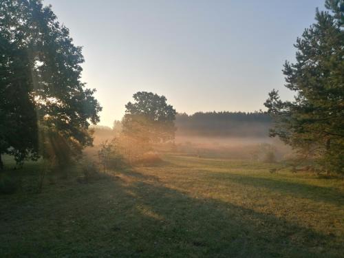 Vilnius County Other | Po šimtamečiais ąžuolais