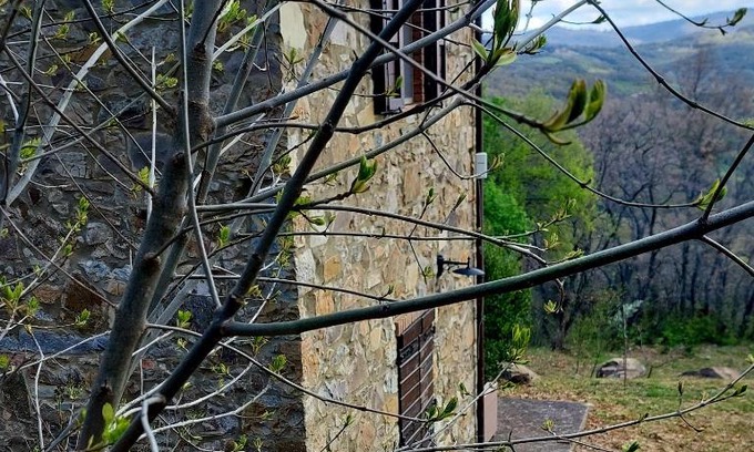 Arcidosso Villa | Podere Frassinelli, casa nel bosco
