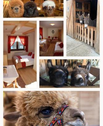 Jurgow House | Pokoje Gościnne Jurgowianka