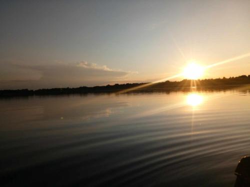 gmina Ludwin House | Poleski domek w Czarnym Lesie