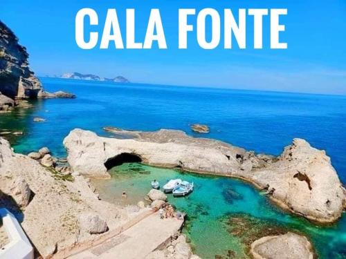 Ponza Apartment | Ponzamania Casa dei fiori