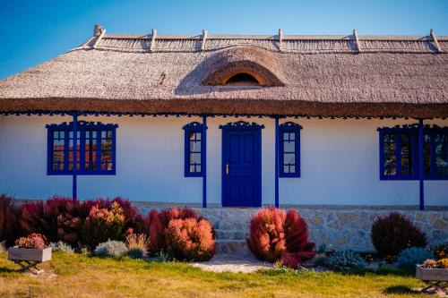 Tulcea County House | Portita spre Delta