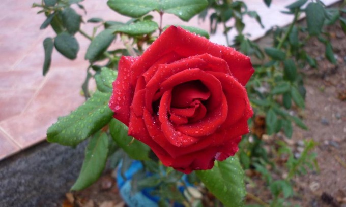 Arbatax Apartment | Portu Frailis