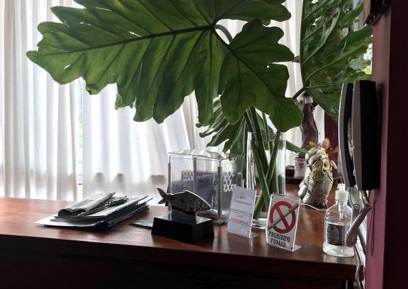 Concordia Hotel | Posada Bambys