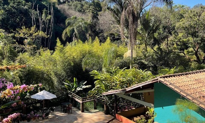 Sao Sebastiao das Aguas Claras Hotel | Pousada Rota dos Macacos - 02 - Macacos