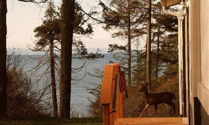 Port Angeles House | Private Beach Access with beautiful water view between Sequim and Port Angeles