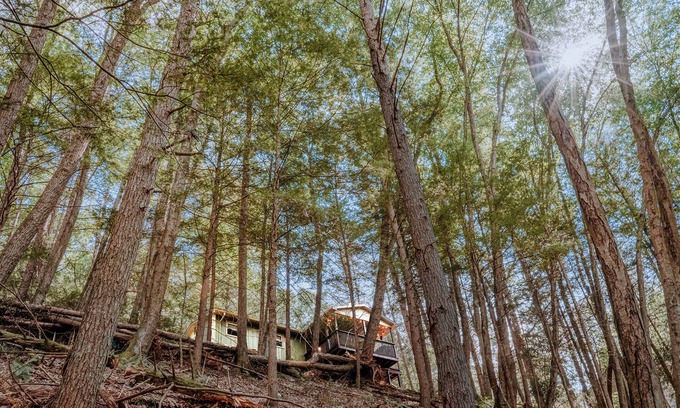 Cambra House | Private Creekfront-fish-Kayaks,campfire,decks, well known trout stream, privacy