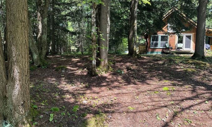 L'Anse Cabin | Private hideaway cabin, nestled in the woods with private Silver River access.