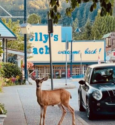 Gibsons House | PRIVATE HOUSE and private HOT TUB Seas The Day Pets BBQ Beaches Artists Studio Lower Gibsons The Bay