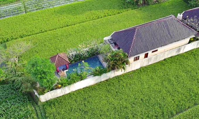 Sewon Villa | Private pool Villa Sawah Sewon