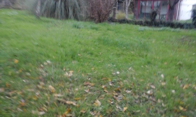 Vierzon Bed & Breakfast | Private room in a house with garden in Vierzon