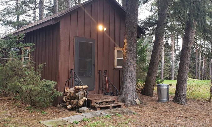 East Syracuse Cabin | PRIVATE RUSTIC 1 BEDROOM CABIN