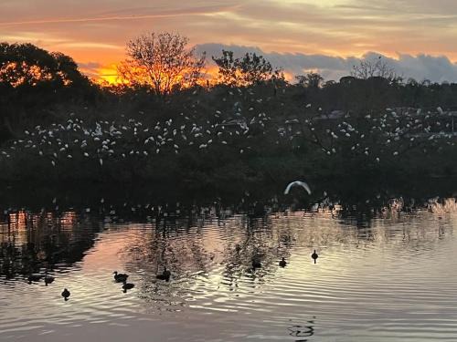 Lakewood Villas House | Private Tropical Waterfront Sanctuary w pool, hot tub & an island! Pet Friendly