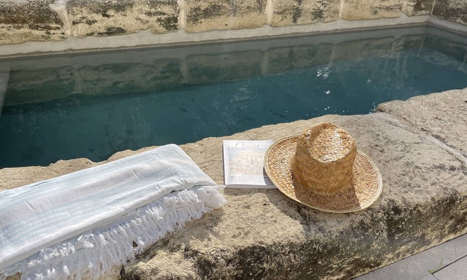 Cadereau House | Provence downtown, large south facing terrace, garden and swimming pool