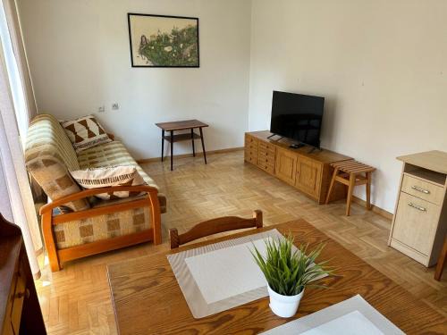 Mszana Dolna Apartment | Przestronny apartament w centrum miasta - Mszana M11