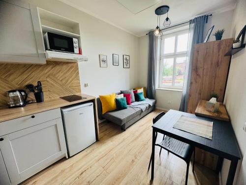 Chorzow Apartment | Przy Parku Róż