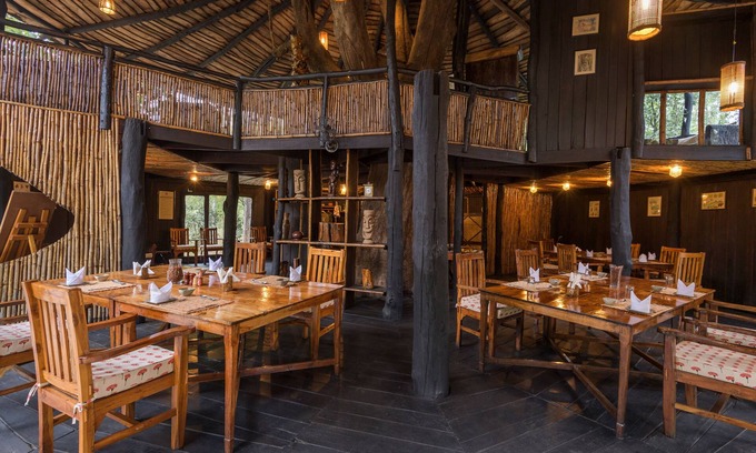 Tala Hotel | Pugdundee Safaris- Tree House Hideaway