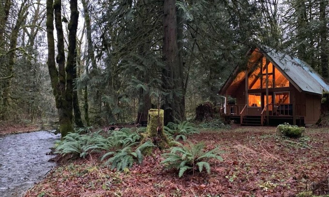 Maple Falls Cabin | Pull out and relax in the Retro Cabin