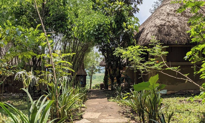 Kichwamba Cabin | Pumba Safari Cottages