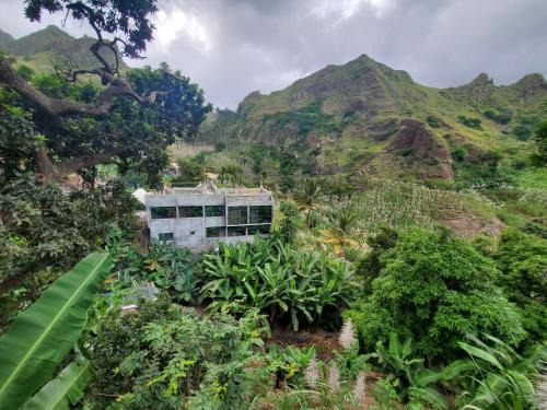 Caculi House | Puntinha d'Djô