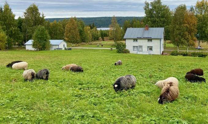 Stromsund Municipality House | Pure nature vacation not far from the water for fishing, boating and relaxing