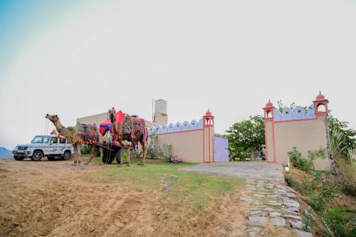 Village Hokra Hotel | Pushkar Desert Karni Camp