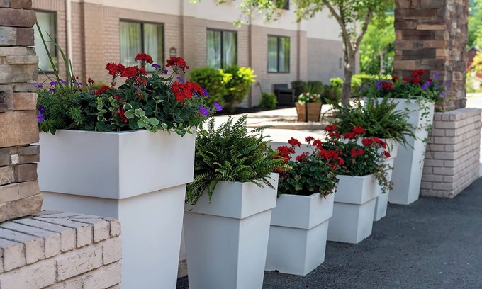 Mary Alice Hotel | Quality Inn