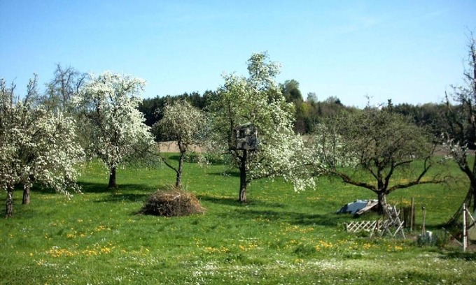 Achberg Apartment | Quiet and idyllic location