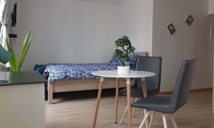 Faubourg Sud Apartment | Quiet, comfortable studio for a stay in Dijon
