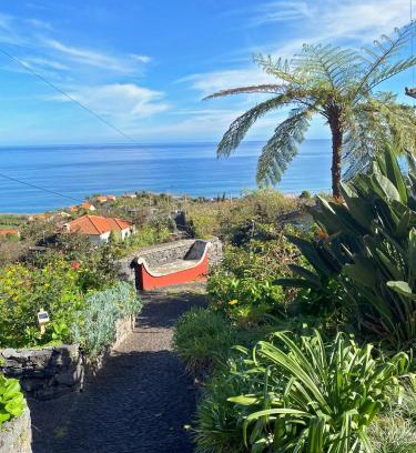 Arco de Sao Jorge House | Quinta das Hortênsias