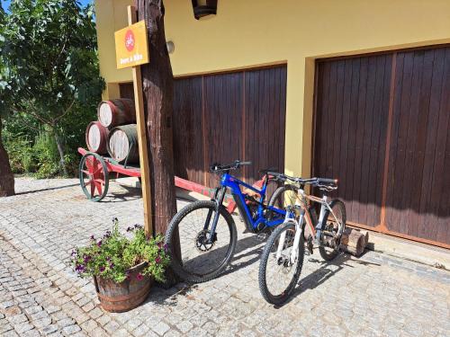 Molares House | Quinta de Carcavelos Agroturismo e Enoturismo