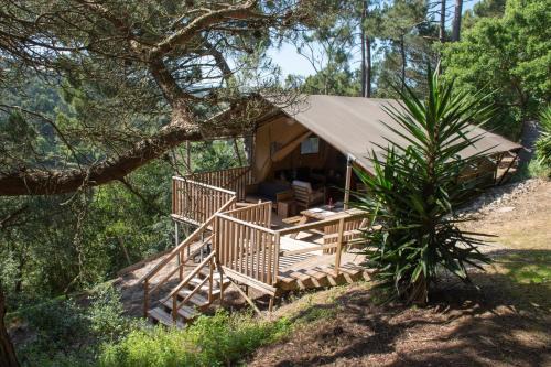 Carvalhal Bemfeito Bed & Breakfast | Quinta Japonesa