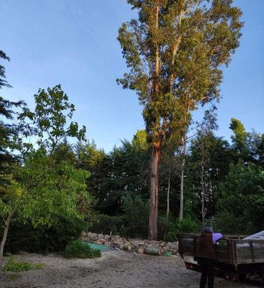 Moimenta da Beira House | Quinta Sul America